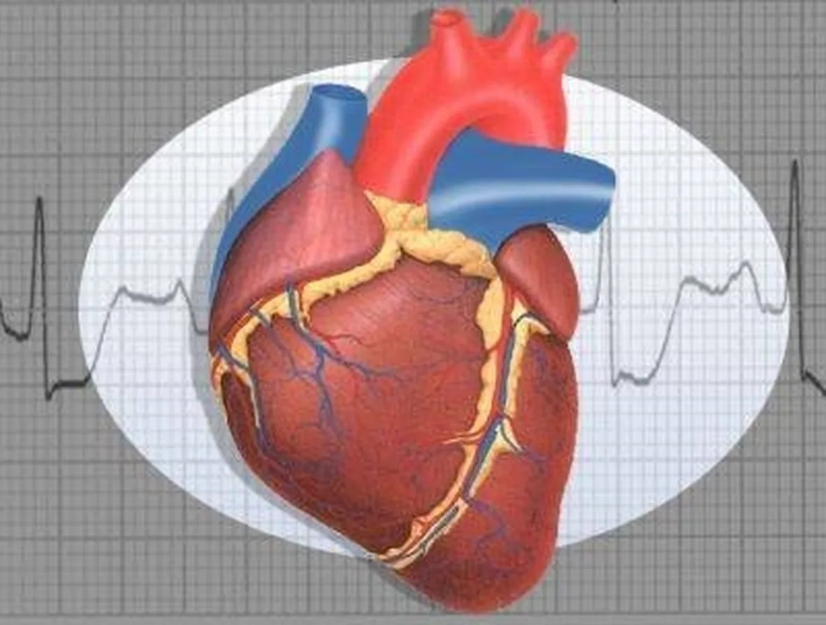 cuore