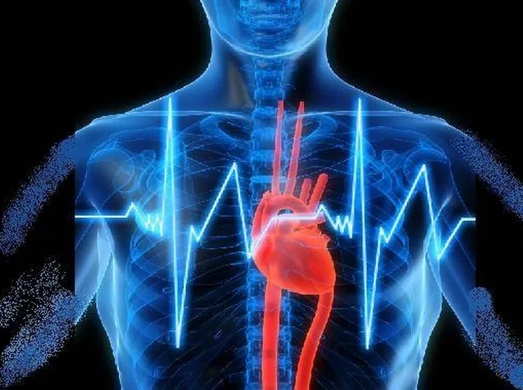 Pressione arteriosa