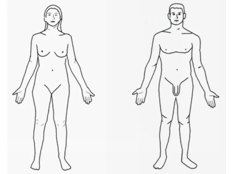 corpo