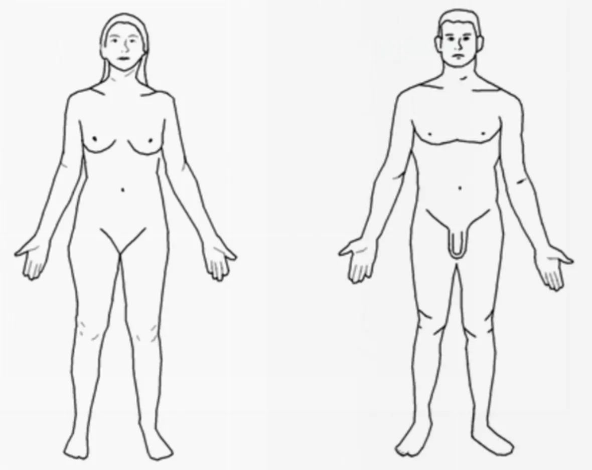corpo