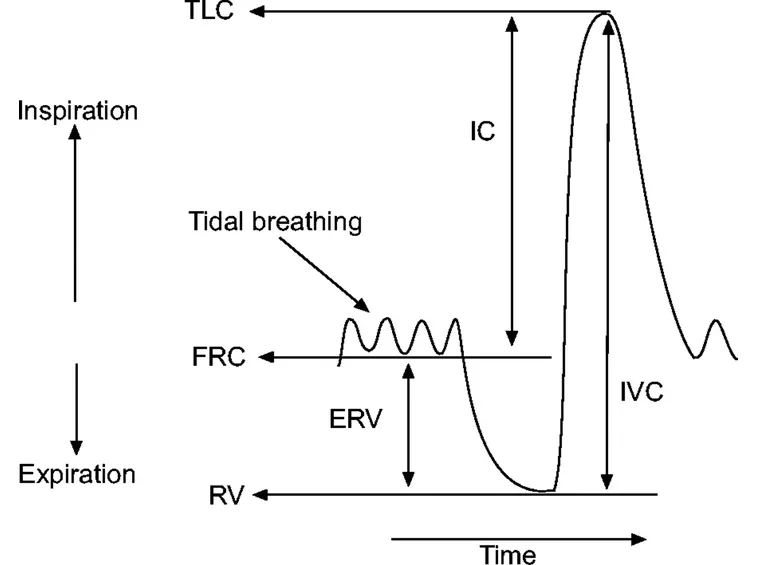 Grafico di una spirometria