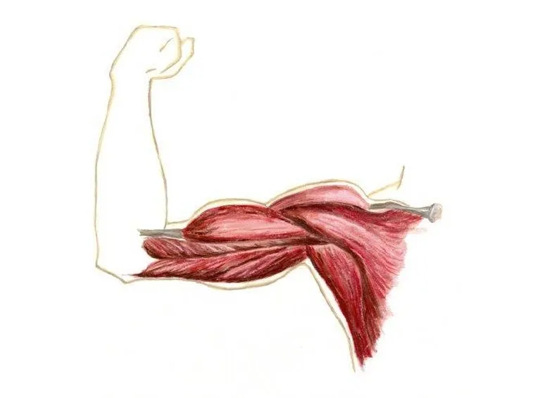 contrazione muscolare