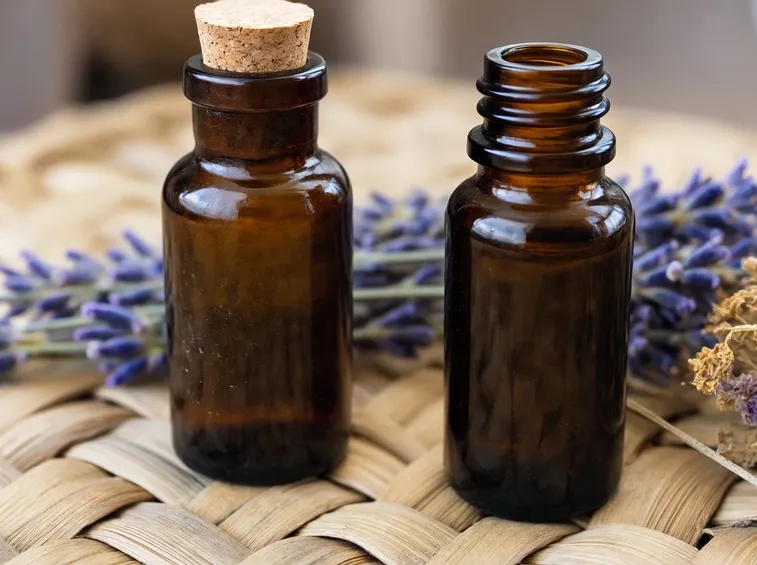 olio di canfora 