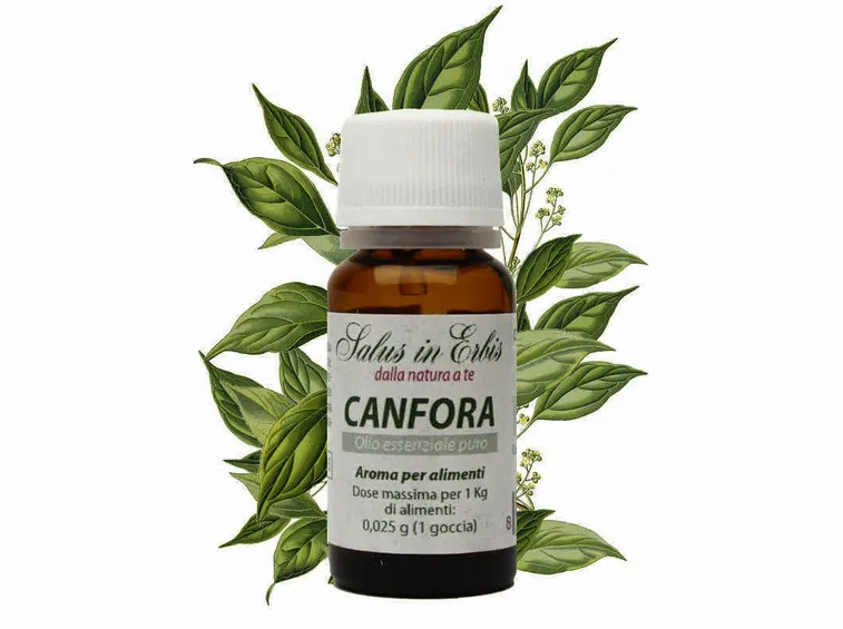 canfora