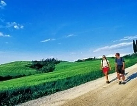 fit walking