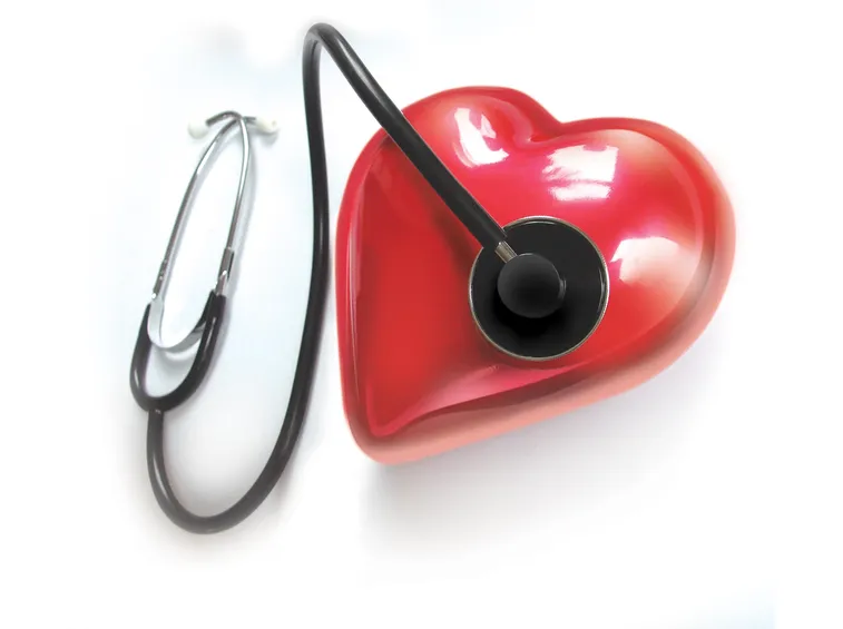 Cuore sano e allenato