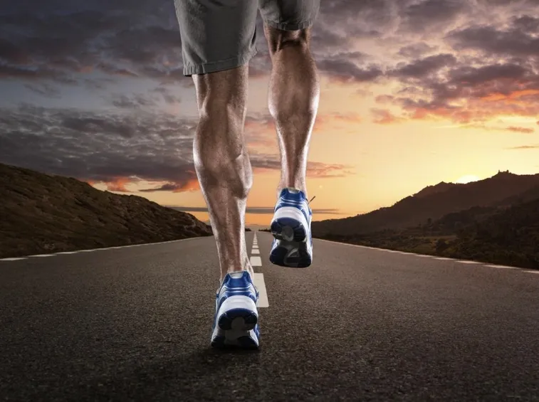 Muscoli tonici di un runner