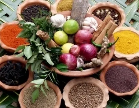 alimentazione indiana