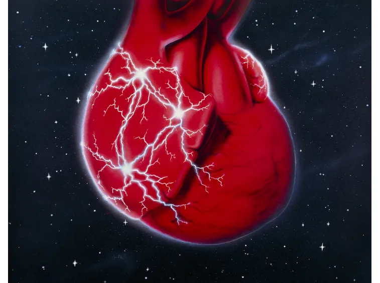 Il cuore e la fibrillazione atriale