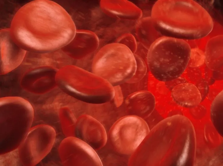 Esame del sangue in gravidanza