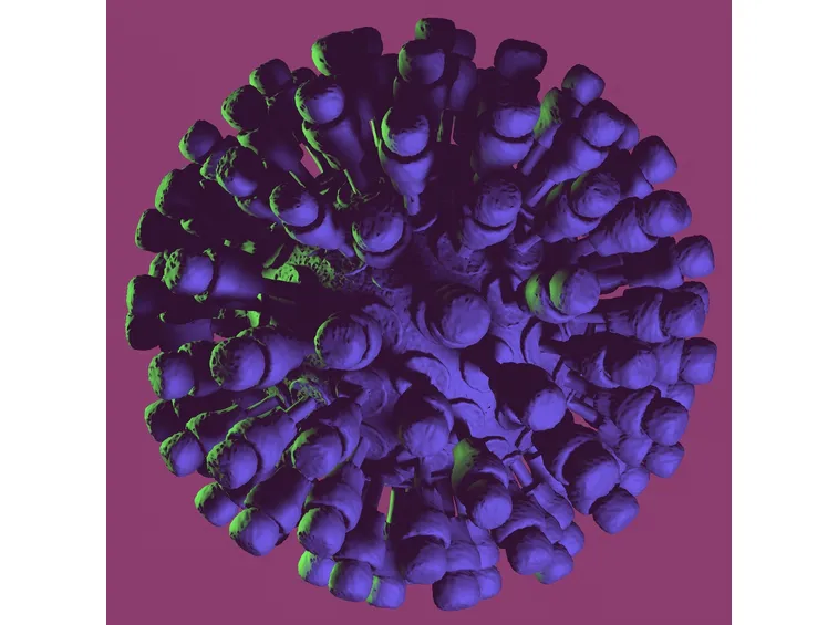 Virus