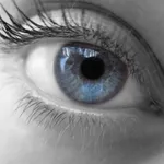 sguardo