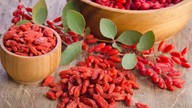 bacche di goji