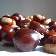 castagne 