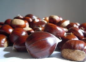 Castagne