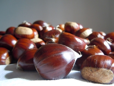 castagne 