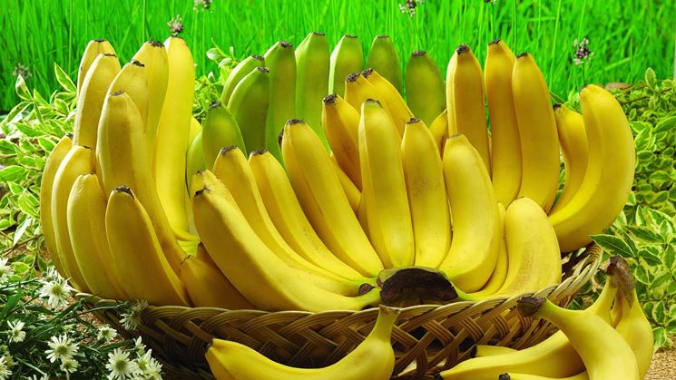 maturazione banana