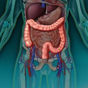 Sindrome del colon irritabile