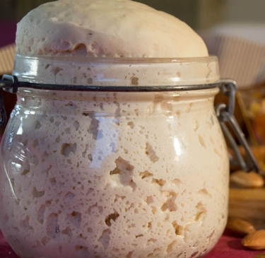 Pasta madre come alimento probiotico