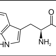 La struttura molecolare del triptofano  fonte http://elitenootropics.com