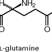 glutammina 