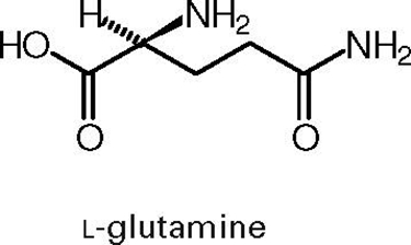 glutammina 