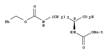 struttura 