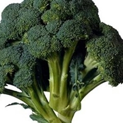 broccoletti 