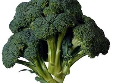 broccoletti 