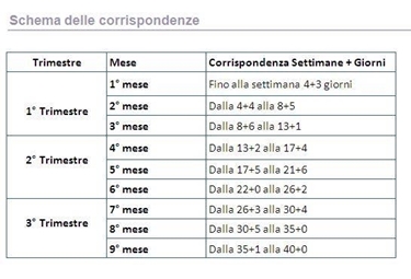 Calcolo settimane di gravidanza