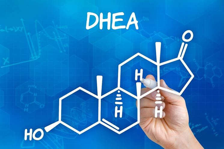 DHEA struttura molecolare