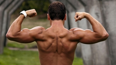 muscoli braccia