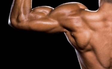 muscoli spalla
