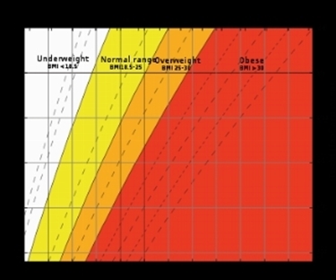 grafico imc 