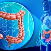 Posizione e struttura del colon