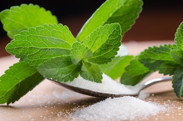 stevia