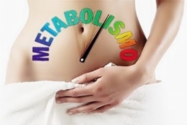 metabolismo