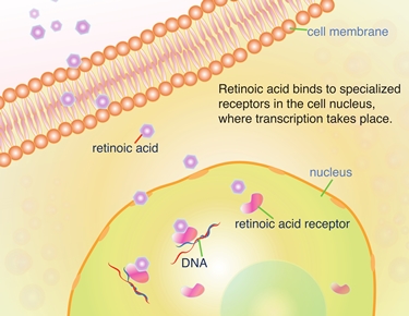 Acido retinoico