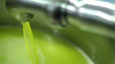 olio di oliva in fase di produzione 