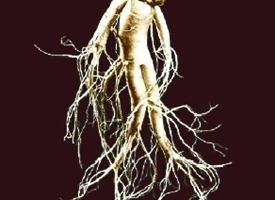 Ginseng