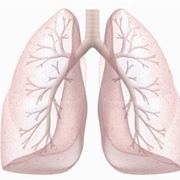 polmoni 