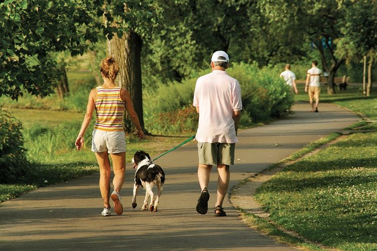 Semplice passeggiata