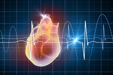 Cuore e frequenza cardiaca