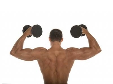 muscoli delle spalle