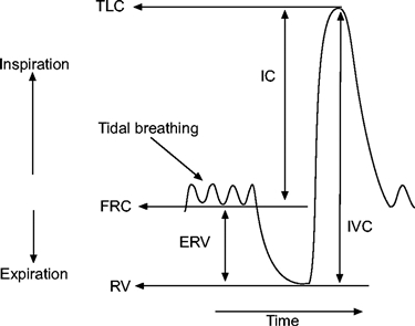 Grafico di una spirometria