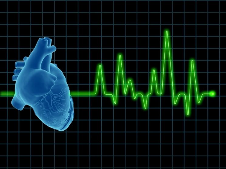 Il cuore e il ritmo cardiaco