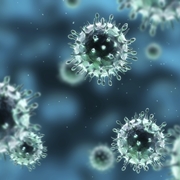 Virus dell'Herpes Zoster