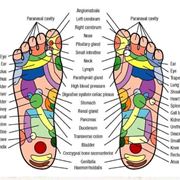 Schema di riflessologia del piede