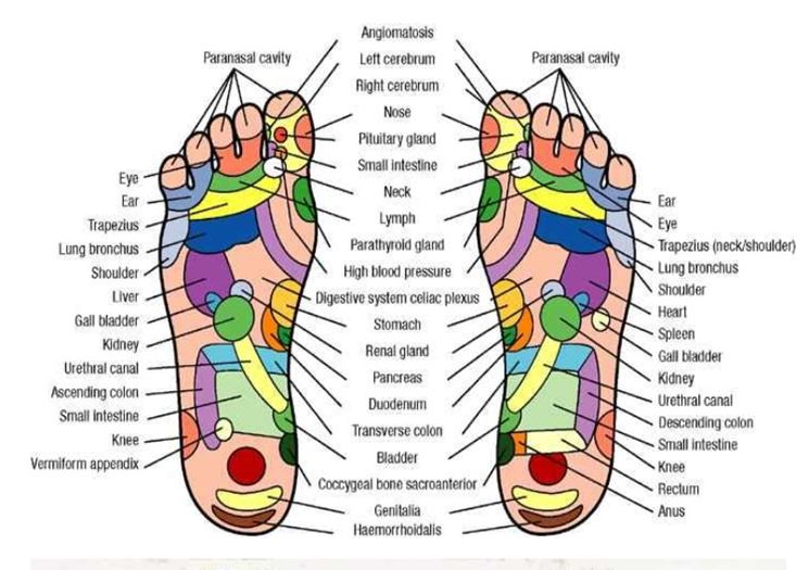 Schema di riflessologia del piede