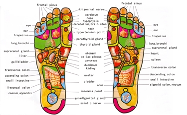 riflessologia plantare